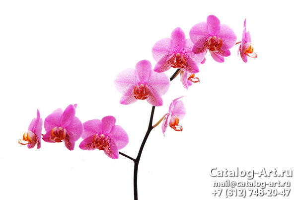 картинки для фотопечати на потолках, идеи, фото, образцы - Потолки с фотопечатью - Розовые орхидеи 10